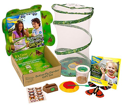 7662558332670 - BUTTERFLY GARDEN GIFT SET WITH LIVE CUP OF CATERPILLARS