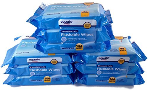 0767674610590 - EQUATE FRESH SCENT FLUSHABLE WIPES 48CT PACK OF 9 (432 WIPES TOTAL) BY EQUATE