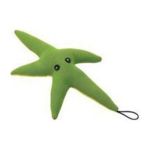 0077234058626 - WATER BUDDY STARFISH DOG TOY IN GREEN SIZE 7 7 IN