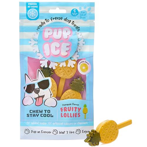 0077234072455 - ETHICAL PET PUP ICE- READY TO FREEZE AT HOME DOG TREATS-EDIBLE CHEWS FOR SMALL BREED DOGS & PUPPIES WITH REAL CHICKEN TO KEEP YOUR PUP COOL YEAR ROUND, FRUITY LOLLIES PINEAPPLE FLAVOR, 3PCS