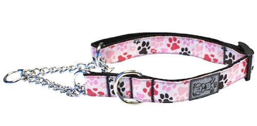 0778810821701 - RC PET PRODUCTS 1-INCH TRAINING MARTINGALE COLLAR, LARGE, 14-20-INCH, PITTER PATTER PINK