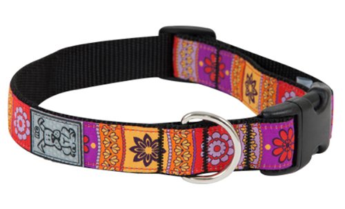 0778810846858 - RC PET PRODUCTS 1-INCH ADJUSTABLE CLIP COLLAR, LARGE, TRENDY MEHNDI
