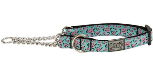 0778810846957 - RC PET PRODUCTS 1-INCH TRAINING MARTINGALE COLLAR, LARGE, SECRET GARDEN