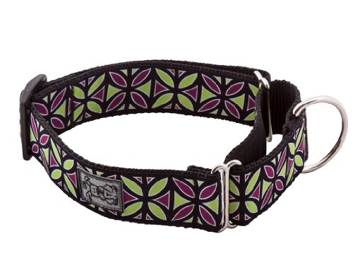 0778810852446 - RC PET PRODUCTS 1-1/2-INCH ALL WEBBING MARTINGALE DOG COLLAR, SMALL, BERRY MOJITO
