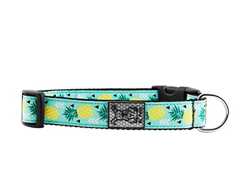 0778810876046 - RC PET PRODUCTS 1 ADJUSTABLE DOG CLIP COLLAR, LARGE, PINEAPPLE PARADE