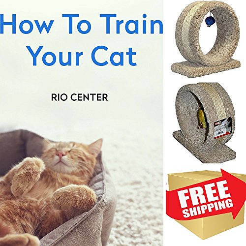 0780186101486 - HOMEMADE CAT TOYS & EBOOK HOW TO TRAIN YOUR CAT BY RIO CENTER,BEST CAT TOYS,CAT RING WITH TOY, 14, TOYS FOR KITTENS,CAT TOYS TO MAKE,CAT CHEW TOYS,SISAL IS GREAT FOR SCRATCHING.
