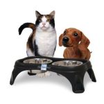 0780824114908 - RIGHT HEIGHT CAFE DOG FEEDER SIZE 4 IN
