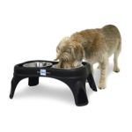0780824114915 - RIGHT HEIGHT CAFE DOG FEEDER SIZE 8 IN