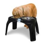 0780824114939 - RIGHT HEIGHT CAFE DOG FEEDER SIZE 16 IN