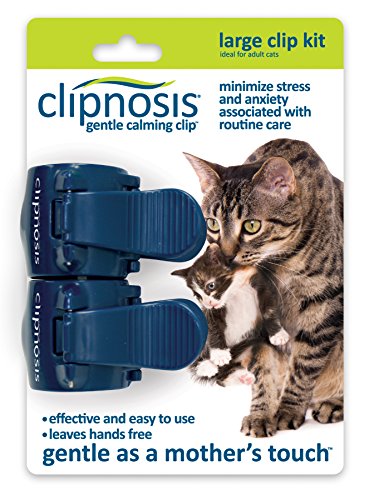 0780824118494 - OURPETS CLIPNOSIS GENTLE CALMING CAT CLIP, LARGE