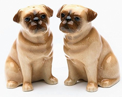 0781147039848 - 3.38 INCH PAINTED KITCHENWARE PUG DOG PAIR SALT AND PEPPER SHAKER SET BY CG