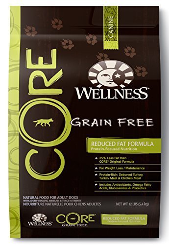 0781163881124 - WELLNESS CORE NATURAL GRAIN FREE DRY DOG FOOD, REDUCED FAT WEIGHT MANAGEMENT TURKEY & CHICKEN RECIPE, 12-POUND BAG BY WELLNESS