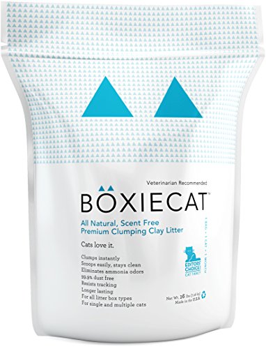 0781163898030 - BOXIECAT PREMIUM CLUMPING CLAY CAT LITTER BY BOXIECAT LLC
