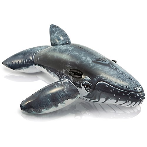 0783419458616 - INTEX REALISTIC WHALE RIDE-ON FOR AGES 3+, 79 X 53, GRAY/WHITE