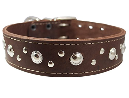 0783583807456 - THICK GENUINE LEATHER STUDDED DOG COLLAR 2 WIDE BROWN SIZED TO FIT 19-22 NECK RETRIEVER, DOBERMAN, BULLDOG, CANE CORSO, PITBULL