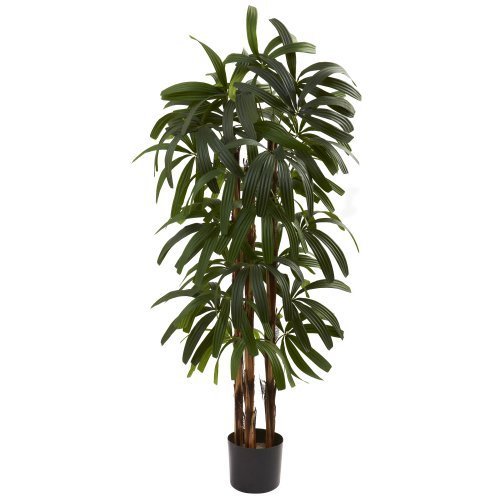 0784331861263 - NEARLY NATURAL 5401 RAPHIS PALM TREE, 4-FEET, GREEN BY NEARLY NATURAL