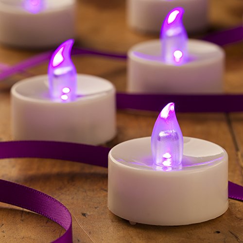 0784672397186 - MARS FUCHSIA BATTERY TEA LIGHTS - FREE BULK DECORATIVE ROSE PETALS - 1.4 BY 1.4 HEIGHT FLAMELESS CANDLES FLICKERING FOR VOTIVE HOLDERS, TEALIGHT CANDLE JARS, PAPER LANTERNS, STOCKING STUFFERS, VALENTINES.