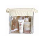 0078522010173 - ELEMENTS TRAVEL KIT FOR NORMAL TO OILY SKIN 6-PIECE SETS