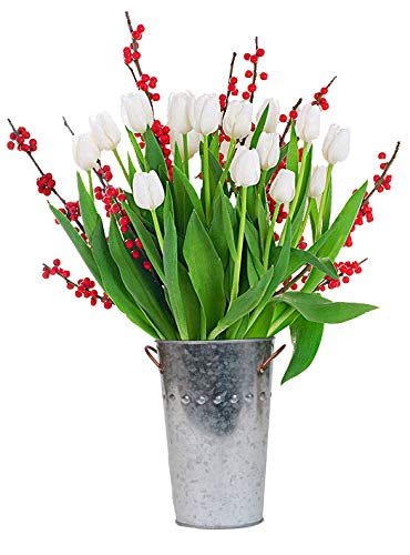 0785242206044 - STARGAZER BARN HOLIDAY TULIP BOUQUET - 24 WHITE TULIPS WITH CHRISTMAS BERRIES