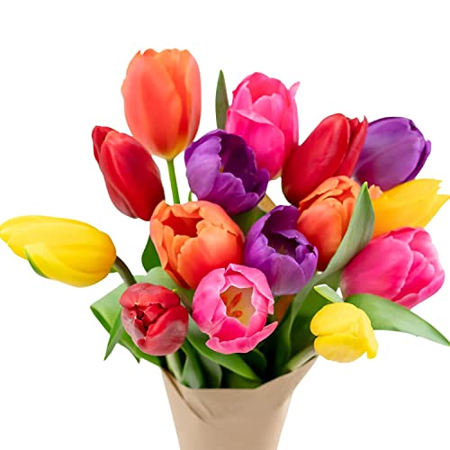 0785242218177 - STARGAZER BARN- THE HAPPY BOUQUET- FARM FRESH COLORFUL TULIPS - SHIP DIRECTLY FROM OUR FARM TO YOUR DOOR