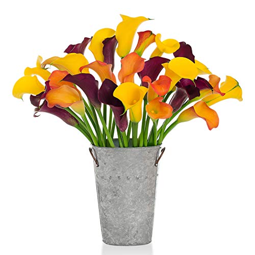 0785242218740 - STARGAZER BARN 30 STEMS COLORFUL CALLA LILIES VASE INCLUDED - FARM TO YOUR DOOR