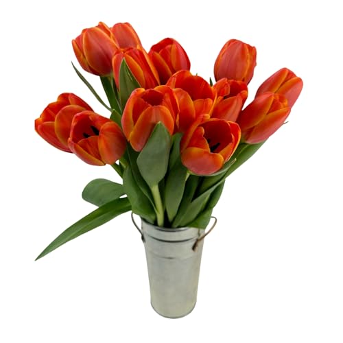 0785242219945 - STARGAZER BARN 15 STEM PUMPKIN SPICE TULIPS WITH VASE FRESH FLOWERS BOUQUET, OVERNIGHT PRIME DELIVERY, FARM DIRECT, GIFT FOR FALL, HOME DÉCOR, BIRTHDAY, ANNIVERSARY, FALL, HALLOWEEN AND FUN