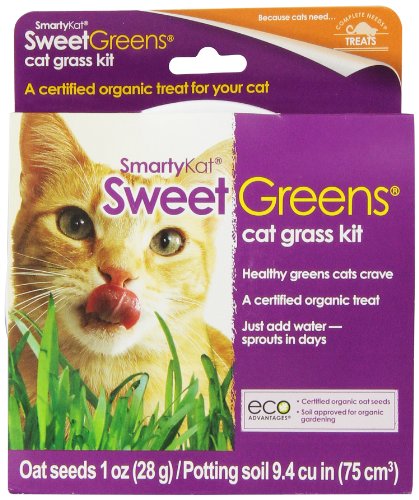 0786306097004 - CAT GRASS KIT 1 KIT