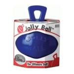 0788169041026 - BALL WITH HANDLE FOR HORSES 10 IN