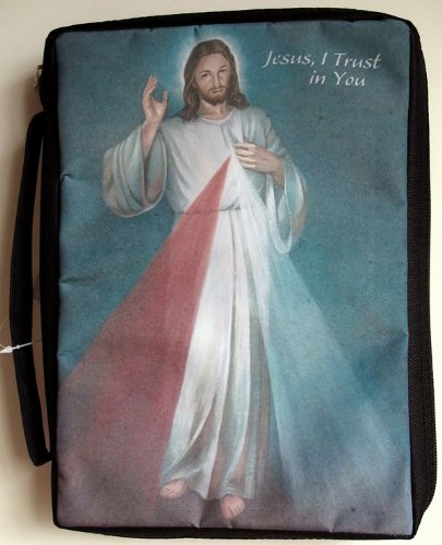 0788200538294 - BIBLE COVER DIVINE MERCY(WF) LARGE