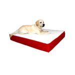 0788995613411 - ORTHOPEDIC DOUBLE DOG BED FABRIC RED AS SHOWN SIZE MEDIUM 24 X 34
