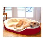0788995622116 - LOUNGER ORTHOPEDIC DOG BED FABRIC RED SIZE MEDIUM 21 X 28