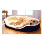 0788995622420 - LOUNGER ORTHOPEDIC DOG BED FABRIC BLUE SIZE LARGE 24 X 36