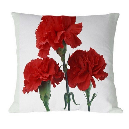 7890746718627 - BHKESMITH COTTON LINEN SQUARE DECORATIVE THROW PILLOW CASE CUSHION COVER 20X20 INCH A1513