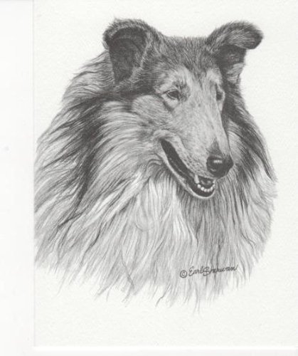 7891010036591 - COLLIE (SABLE) DOG EARL SHERWAN PORTRAIT MATTED ART CARD - 5 IN X 7 IN DESIGN - 8 IN X 10 IN MATTED