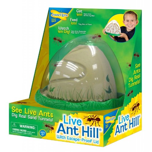 0789264280365 - INSECT LORE ANT HILL