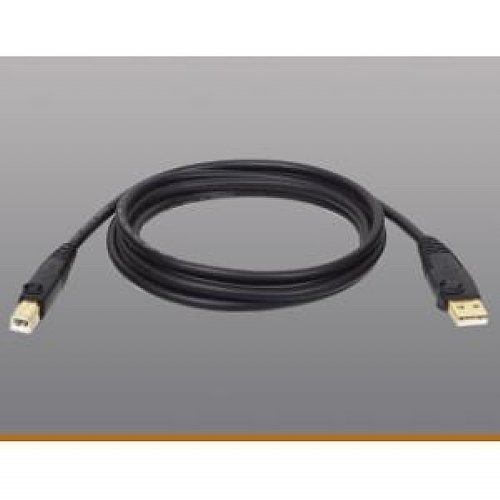0789369354442 - TRIPP LITE USB 2.0 HI-SPEED A/B CABLE (M/M) 10-FT. (U022-010-R)