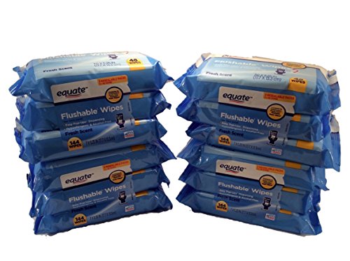 0789545343482 - EQUATE FLUSHABLE WIPES 12-PACK 48CT EA (576 WIPES TOTAL)