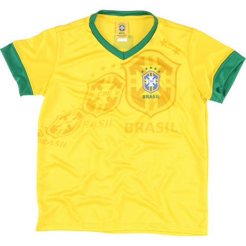 7895919590222 - CAMISETA BRAZILINE BRASIL GOLA V