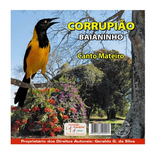 7896208500991 - CD CORRUPIÃO BAIANINHO