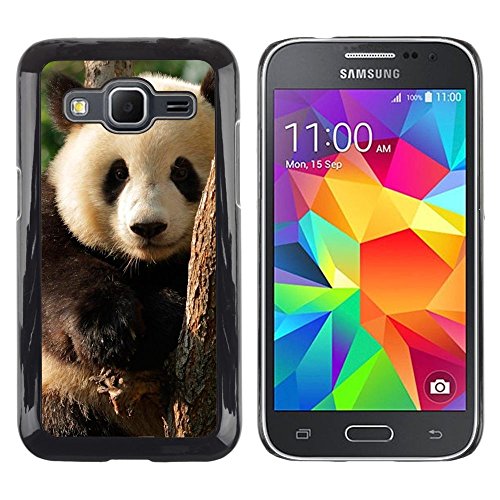 7897063491004 - FOR SAMSUNG GALAXY CORE PRIME - PANDA BEAR NATURE WILD CHINA CASE COVER PROTECTION DESIGN ULTRA SLIM SNAP ON HARD PLASTIC - GOD GARDEN -