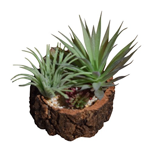 0790683394960 - MODERN MINI POTTED ARTIFICIAL SUCCULENT PLANTS - FAUX PLANT HOME DECOR (TREE TRUNK WITH GREEN PLANTS)