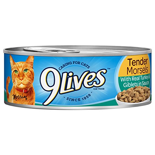0079100524112 - 9LIVES TENDER MORSELS WITH REAL TURKEY AND GIBLET IN SAUCE WET CAT FOOD CAN, 5.5 OUNCE, PACK OF 6