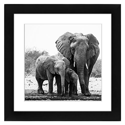 0791398912203 - 11X11 BLACK PICTURE FRAME - MATTED TO FIT PICTURES 8X8 INCHES OR 11X11 WITHOUT MAT - HANGING HARDWARE INCLUDED