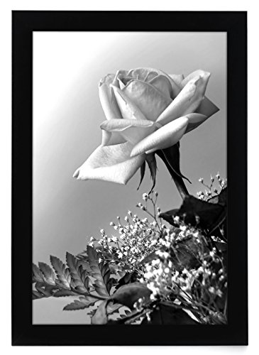 0791398912302 - 12X18 BLACK PICTURE FRAME WITH PLEXIGLASS FRONT BY AMERICANFLAT - DESIGNED TO DISPLAY VERTICALLY OR HORIZONTALLY ON A WALL - MOUNTING HARDWARE INCLUDED