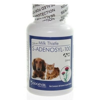 7922315265413 - S-ADENOSYL-100 FOR SMALL DOGS AND CATS, 60 TABLETS
