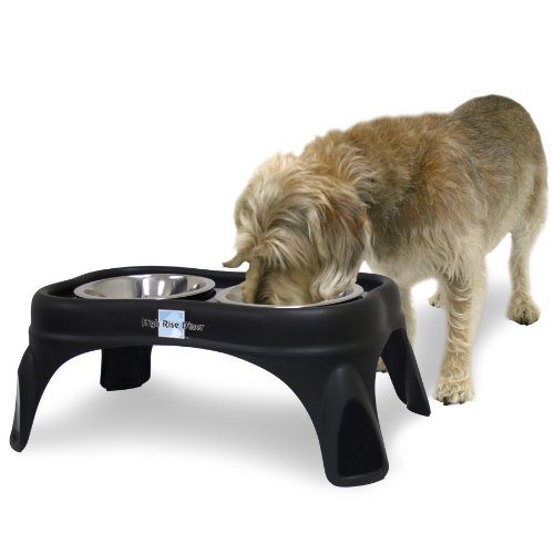 7922315275078 - OURPETS RIGHT HEIGHT CAFE FEEDER, 8-INCH