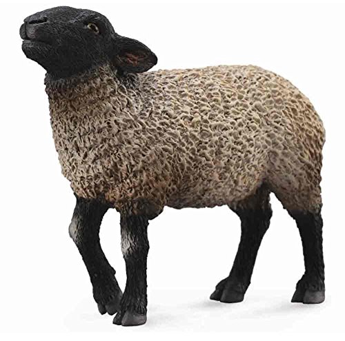 0792491782526 - COLLECTA SUFFOLK SHEEP