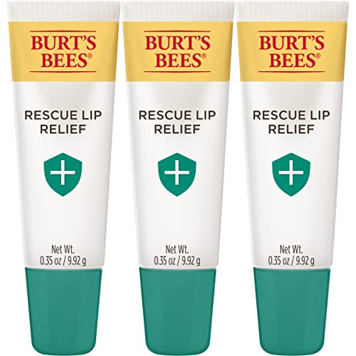 0792850657069 - BURTS BEES RESCUE LIP RELIEF WITH SHEA BUTTER AND ECHINACEA, 100% NATURAL ORIGIN, 0.35 OUNCES