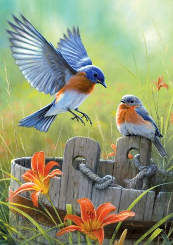 0079346024940 - BUFFALO GAMES LARGE PIECE: BLUEBIRDS - 300 PIECE JIGSAW PUZZLE BY BUFFALO GAMES