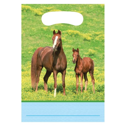 0793625047733 - CREATIVE CONVERTING WILD HORSES 8 COUNT PARTY FAVOR LOOT BAGS